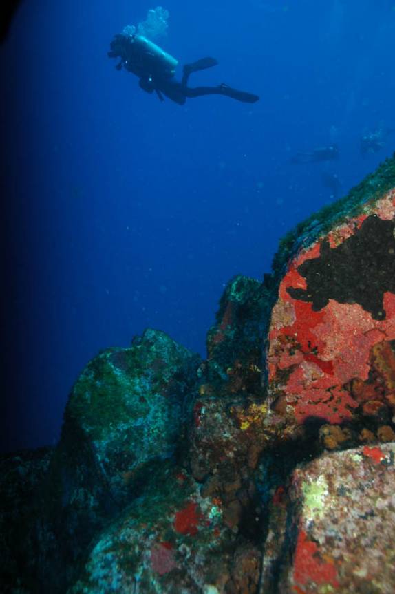 Mergulho na Lage Noronha, em Fernando de Noronha - PE (foto de Mateus Harfush - Ciliares)